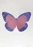 Damien Hirst, The Souls II - Loganberry Pink/Imperial Purple/Blind Impression 2010