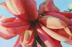 Tim Maguire, Winter Rose 2007, 2007, digital pigment print