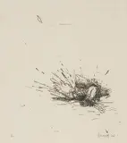 Brett Whiteley, A Day at Bondi (Swimmer) 1984, 1984, etching