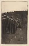 Fred Williams, Saplings 1962, 1962, aquatint, drypoint and engraving
