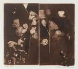 Fred Williams, Cosmos in the Garden 1962, 1962, etching, aquatint, engraving and drypoint