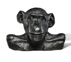 Lisa Roet, Chimp Bust 2000, 2000, bronze
