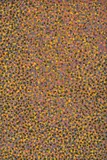 Emily Kame Kngwarreye, My Country 1991