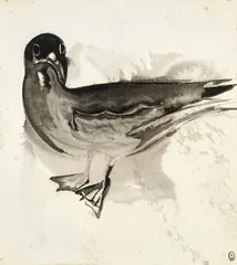 The Gull 1978 by Brett Whiteley, 1978, ink on paper, sold Apr 2025