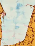 John Olsen, The Edge of the World - Lake Eyre 2012