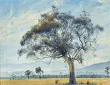 Tom Roberts, Sheep Country 1928, 1928, oil on canvas on board