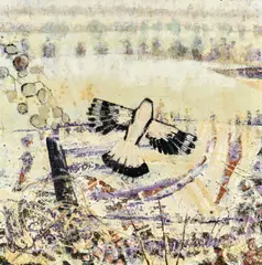 Clifton Pugh, Magpie in Cold Morning 1977, 1977, oil on board