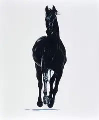 Michael Zavros, Omega Knight/Encyclopaedia of the Horse 2004, 2004, oil on canvas