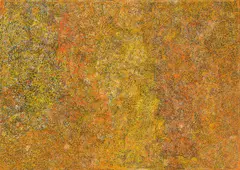 Angelina Pwerle, Bush Plum Story 2005, 2005, Bush Plum Story