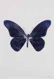 Damien Hirst, The Souls IV - Imperial Purple/Cornflower Blue/Silver Gloss 2010