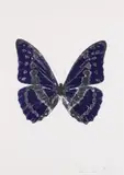 Damien Hirst, The Souls III - Imperial Purple/Silver Gloss/Silver Gloss 2010