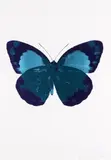 Damien Hirst, The Souls II - Turquoise/Imperial Purple/Blind Impression 2010