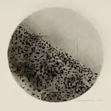 Fred Williams, Circle Landscape, Upwey 1965-66, 1965-66, etching, engraving, drypoint and mezzotint