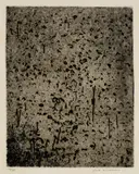 Fred Williams, Forest of Gum Trees 1965-66, 1965-66, etching, flat biting and mezzotint