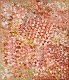 Emily Kame Kngwarreye, Flower Dreaming