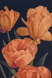 Jason Benjamin, Every Little Drop 2010-11, 2010-11, oil on linen