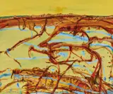 John Olsen, Figure in a Landscape 2005, 2005, oil on linen