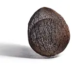 Bronwyn Oliver, Acorn 2005, 2005, copper