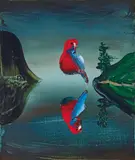 Paul Ryan, Rosella, Coledale 2022