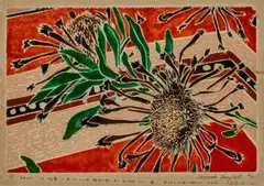 Cressida Campbell, Protea 1978, 1978, woodblock print