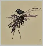 Brett Whiteley, Silver Eye 1988, 1988, screenprint
