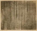 Fred Williams, Echuca Landscape 1961, 1961, etching