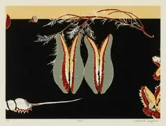 Cressida Campbell, Seeds 1995, 1995, woodblock print
