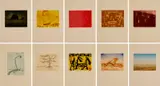 Various Artists, Lake Eyre and Beyond 2001-02, 2001-02, complete set of etchings (10)