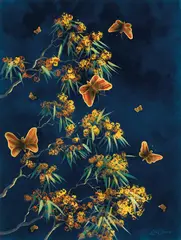 Lin Onus, Butterflies and Wattle, Butterflies and Wattle