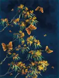 Lin Onus, Butterflies and Wattle