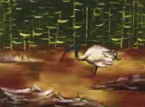 Albert Tucker, Ibis in a Swamp 1964, 1964, oil on board