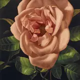Jason Benjamin, Little Victories: So Far from Me 2010, 2010, oil on linen