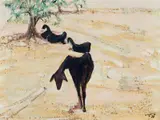 Clifton Pugh, Goats and Olive Trees 1978