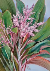 Ellis Rowan, Flowering Cordylines, watercolour and gouache on paper