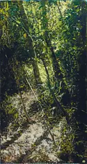 A. J. Taylor, Paynter Creek No. 16 (Yellow and Blue) 2003, 2003, oil on board