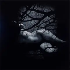 Jane Burton, Wormwood #9 2006-07, 2006-07, Type C photograph