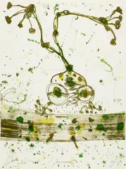 John Olsen, Frog at Kakadu 1988, 1988, colour lithograph