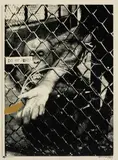 Brett Whiteley, Swinging Monkey 2 1965, 1965, colour screenprint
