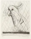 Brett Whiteley, Hullo (Cockatoo) 1980, 1980, etching