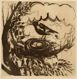 Brett Whiteley, Magpie 1977, 1977, sugarlift aquatint