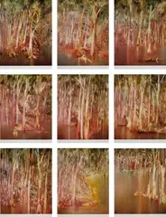 Sidney Nolan, Riverbend Series 1981, 1981, complete set of photo-offset lithographs (9)