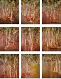 Sidney Nolan, Riverbend Series 1981