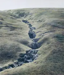 William Delafield Cook, Waterfall 2004, 2004, synthetic polymer paint on linen