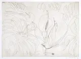 Brett Whiteley, Monstera Deliciosa 1978, 1978, etching