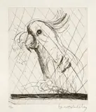 Brett Whiteley, Hullo (Cockatoo) 1980, 1980, etching