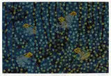 Lin Onus, Gumiring Garkman 1994, 1994, screenprint
