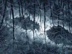 Lin Onus, Moonlight (from the Twenty Four Hours at Numerili suite) 1993, 1993, synthetic polymer paint on canvas