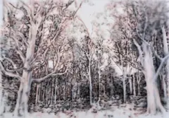 Fiona Lowry, Limitless are Leaves, Stiff or Drooping in the Fields 2008, 2008, synthetic polymer paint on canvas