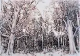 Fiona Lowry, Limitless are Leaves, Stiff or Drooping in the Fields 2008, 2008, synthetic polymer paint on canvas