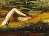 Albert Tucker, Ibis Flying 1965, 1965, synthetic polymer paint on composition board